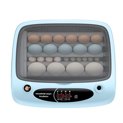 China Farms Chicken Eggs 24 Smaller Capacity Automatic Incubators Using In Schools for sale