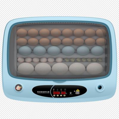 China Farms Dual Power Supply Incubate Chick 36 Egg Capacity Mini Incubator for sale