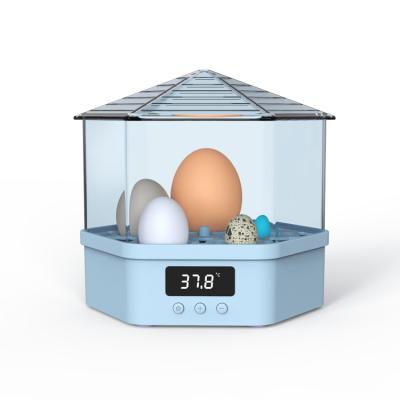 China Automatica 2021 Hot Sale Mini Teaching Children Chicken Egg for Incubator and Hatcher for sale