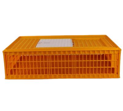 China Large Stackable Collapsible Stackable Cages Plastic Chicken Transport Cages For Sale for sale