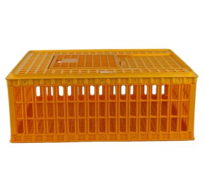 China Stackable Collapsible Stackable Plastic Cages For Duck Use Poultry Transport Cages For Sale for sale