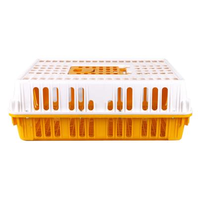 China High Quality Collapsible Stackable Poultry Plastic Transport Cages For Chickens for sale