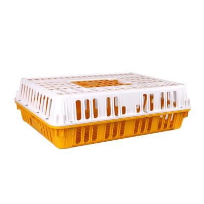 China Plastic Stackable Foldable High Lift Poultry Basket Transport Chicken Cages For Sale for sale