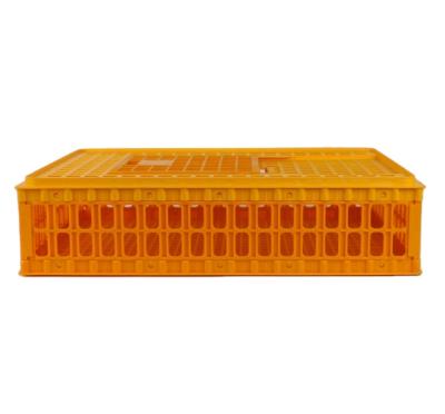 China Transport Stackable Crates Use Poultry Farm Plastic Pigeon Cages For Sale for sale