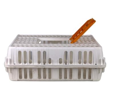 China Stackable Durable Poultry Transport Cages Plastic Cages For Chicken Use for sale