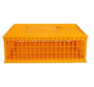 China Good Quality Stackable Foldable Plastic Chicken Cages Use For Transport Poultry Birds for sale