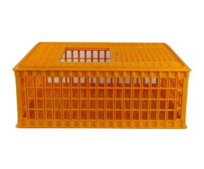 China Dualable Stackable Collapsible Stackable Duck Cages Transport Plastic Cages For Sale for sale