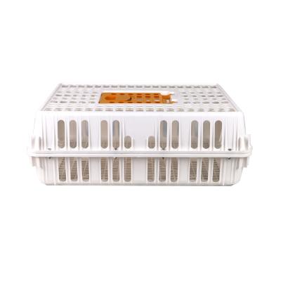 China Collapsible Stackable Poultry Transport Cage Chicken Transport Box Basket Maker for sale