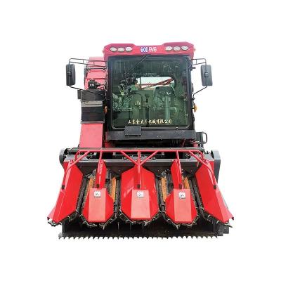 China Maize Factory Supply 7950*2800*3800 Dimension Self Propelled Silage Maize Harvester for sale