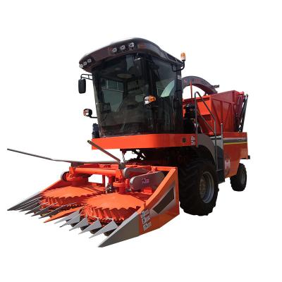 China Corn 2650mm Silage Harvester 275hp High Efficiency Sorghum Sugar Cane Forage Harvester for sale