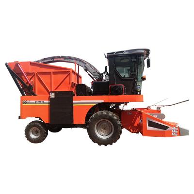 China Self Propelled Corn Sugarcane Silage Harvester 2650mm Cutting Width Silage Harvester for sale