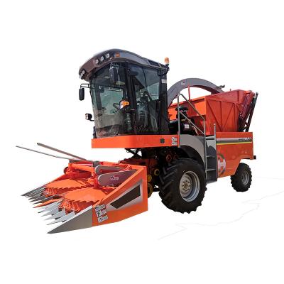 China Automation corn silage harvester high efficiency corn silage harvester for sale for sale