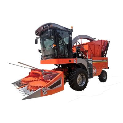 China Self-propelled Maize Automation Forage Plant Harvester Harvest Corn Machine for sale