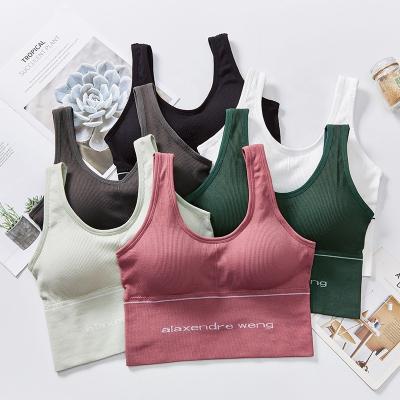 China Breathable Wholesale Women Push Up Sexy Underwear Bra Sports Bra for sale