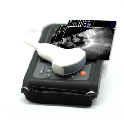 China Ecgrafo Para Ovejas Diagnosis Systam Ultrasound Reatal High Resolution Rectal Ultrasound Scanner for sale