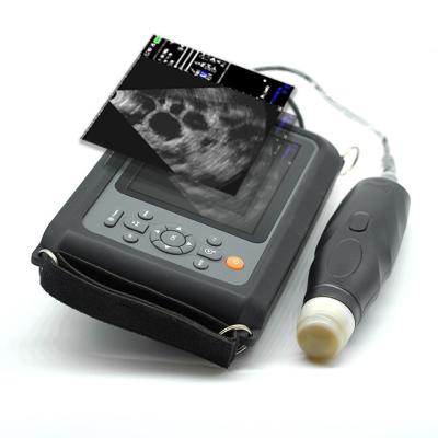 China Lightweight Ultrasound Sensor Portable Usb Ultrasound For Animals Portable Ultrasound For Animals for sale