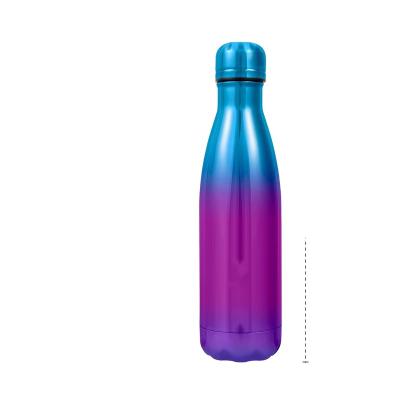 China Sustainable Stainless Steel Insulated Bottle Sports Water Bottles For School Office Camping for sale