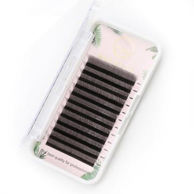 China Super Flexible Grafted Lashes 0.07 Soft Professional Personal Fake Hairs Graft Group Makeup Clover Mesh Personal Hair Extensions for sale