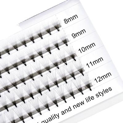 China Soft Natural Thin Style 0.07C Grafted False Eyelash Beauty Tool for sale