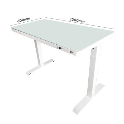 China Height Adjustable (Height) Adjustable Sitting Or Standing Desk With Drawer And USB Type C Interface For Home Office for sale