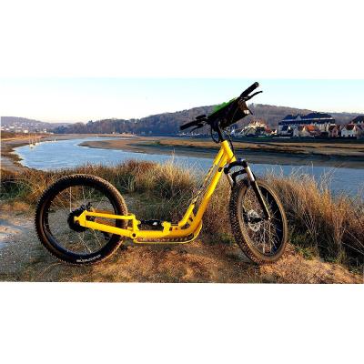 China Full Suspension 750w Outdoor Sport Fast Electric Scooter Adult Unisex Big Power Motor 48v 17.5ah for sale