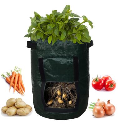 China Breathable Garden Sweet Potato Planting Grow Bag Beauty Planting Tree Bag Plants Growth Bag Potato for sale