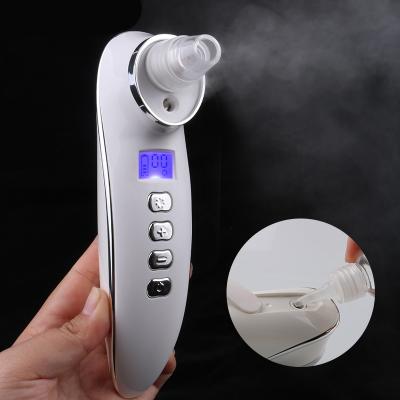 China Moisturizer Madame Hydrate USB Rechargeable Nano Mist Ionic Spray Sprayer, Anion Hydration Nourishing Electric Facial Steamer for sale