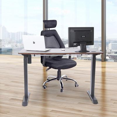 China Adjustable (Height) Custom Design Electric Height Adjustable Furniture Lift Table Stand Height Standing Office Desk Te koop