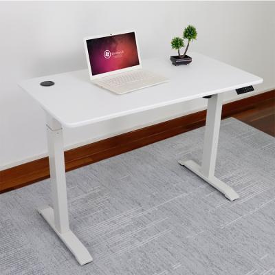 China Factory Sit-Rack Desktop Workstation Desktop Single Motors Height Adjustable Motorized Electric Table (Height) Te koop