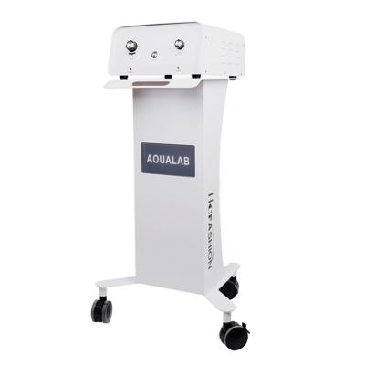 China Skin Tightening Hydra Skin Care Machine Oxygen Beauty Trigger Equipment Bubbles Facials Beauty Machine for sale