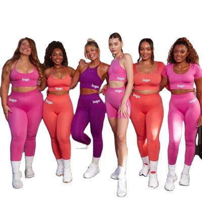 China TZ6070 Fluoresc Antibacterial Women Workout Set Sports Equipment 6pcs Seamless Yoga Gaiters With Sports Bra Gym Tracksuits Set for sale