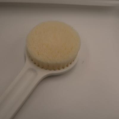 China 2021 Long Handle Hot Sale Bath Brush for sale