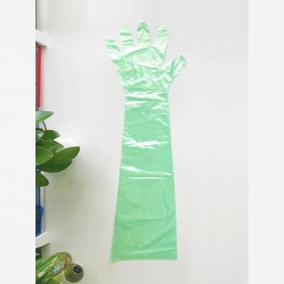 China Animal Health Diagnosis Disposable Plastic Long Sleeve Veterinary Glove With 87cm Length For Full Long Arm Glove Protection for sale