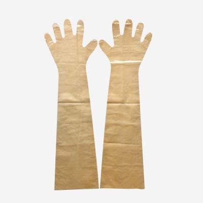 China Pet Care Pe Long Sleeve Vet Gloves LDPE for sale