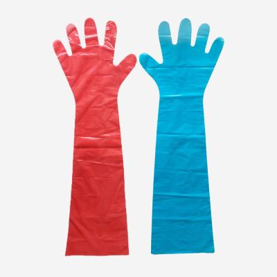 China Pet Care Disposable Veterinary Pe Glove 90cm Long for sale