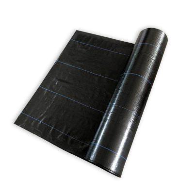 China Agricultural Black Plastic Culture PP Mulch, Anti Grass Cloth, Weed Mat Rolls/Weed Mat for sale