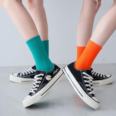 China Comlor OME Socks Women Cotton Polyester QUICK DRY Socks Fruit Real Soft Solid Color Cotton Women Colorful Socks for sale