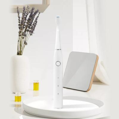 China ABS+PC+POM 18650 Battery Powered Li-ion Electric Toothbrush Ultrasonic Sonic Electric Toothbrush Logo OEM for sale