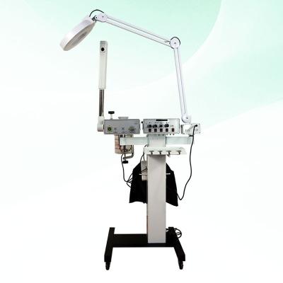 China Professional Skin Revitalizer Facial Machine 8 in 1 with Ultrasonic Facial for sale