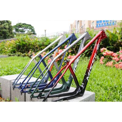 China Lightweight missile purchase custom 29 inch cable mtb carbon mountain bicycle internal frame for sale