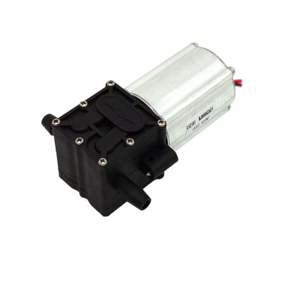 China Long Life HCKG Low MOQ 10 DC 15 20W Motor Brushless Micro Diaphragm Water Pump for sale