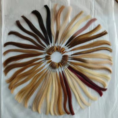 China Factory Supply New Style Wholesale Price Hair Extensions Straight Colored Ring Chart for sale