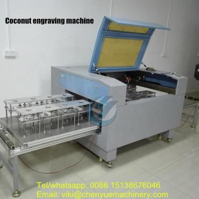 China Easy Openable Coconut Shell Laser Cutting and Engraving Machine CNC Coconut Coconut Carving Machine for sale