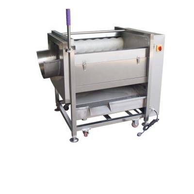 China Automatic And Water Saving Ginger Peeling Machine / Onion Peeling Machine / Potato Peeling Machine for sale