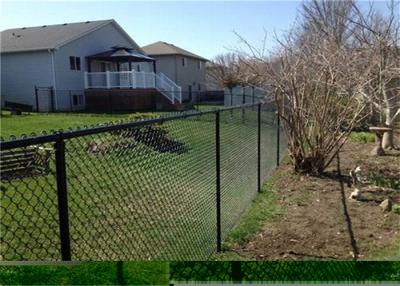 China Metal Frame Material Wire Mesh Garden Farm Fence Chain Link Fence for sale