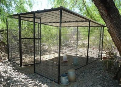 China Various sizes stainless steel dog cage dog cages metal kennels outdoor cage for sale