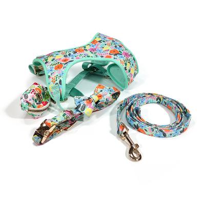 China Viable Pet Safety Vest Puppy Pet Leash Suitable For Outdoor Pulling Small And Medium Dog Breeds for sale