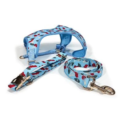 China Outdoor Safety Pet Dog Viable Vest Leash Set For Small And Medium Breeds for sale