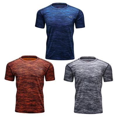 China Men's Sportswear Clothing Polyester Spandex Compression Gym Anti-Shrink T-Shirt for sale