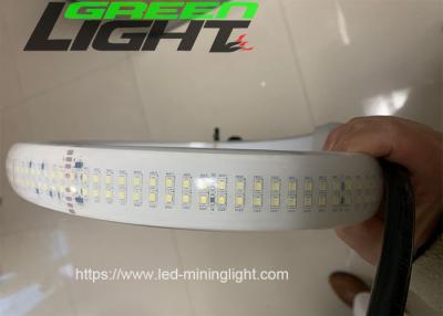 China 2230lum/m Silikon geführte Streifen-Licht-doppelte Reihe DC36V SMD5050 30W/M zu verkaufen